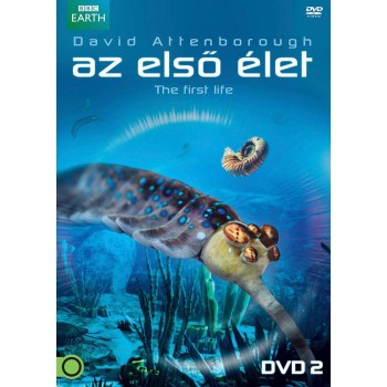 AZ ELSŐ ÉLET 2. - DVD - (2013)