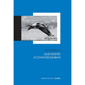 LELKIVEZETÉS AZ EVANGÉLIUMBAN (2013)