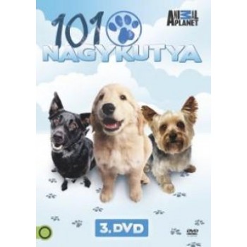 101 NAGYKUTYA 3. - DVD - (2013)