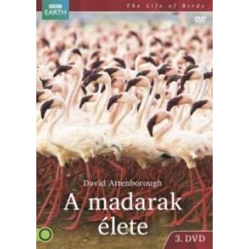 A MADARAK ÉLETE 3. BBC - DVD -