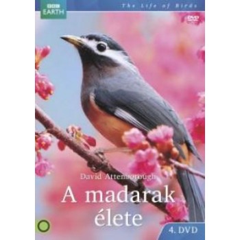 A MADARAK ÉLETE 4. BBC - DVD - (2013)