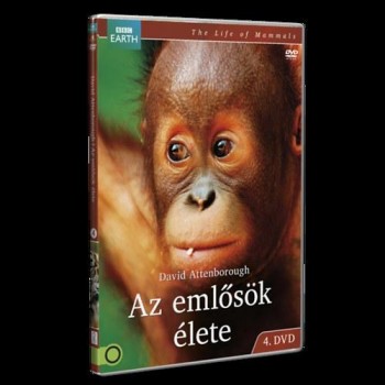 AZ EMLŐSÖK ÉLETE 4. BBC - DVD - (2013)