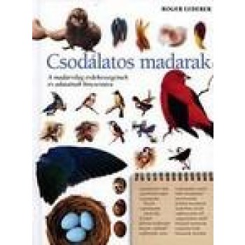 CSODÁLATOS MADARAK