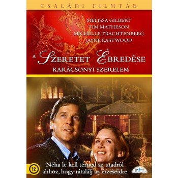 A SZERETET ÉBREDÉSE - KARÁCSONYI SZERELEM - DVD - (2013)