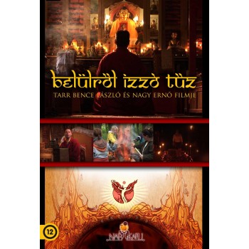 BELÜLRŐL IZZÓ TŰZ - DVD - (2013)