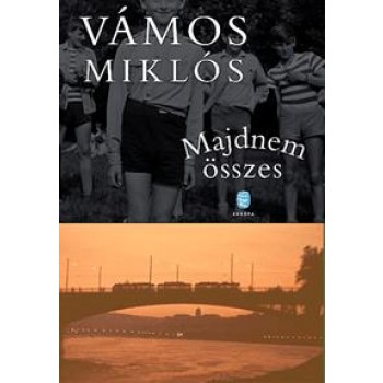 MAJDNEM ÖSSZES (2013)
