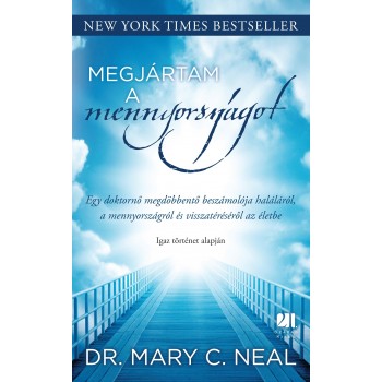 MEGJÁRTAM A MENNYORSZÁGOT (2013)