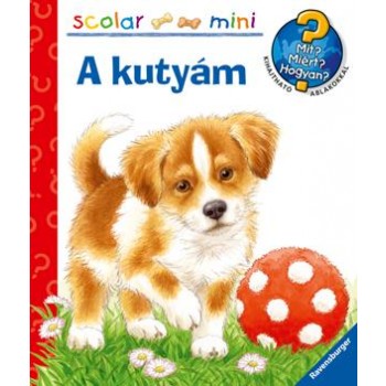 A KUTYÁM - SCOLAR MINI 29. (2013)