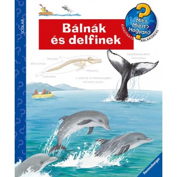 BÁLNÁK ÉS DELFINEK - MIT? MIÉRT? HOGYAN? 37. (2013)