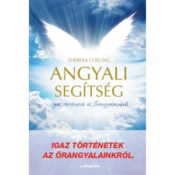 ANGYALI SEGÍTSÉG - IGAZ TÖRTÉNETEK AZ ŐRANGYALAINKTÓL (2013)