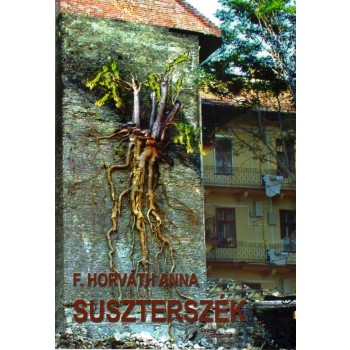 SUSZTERSZÉK (2013)
