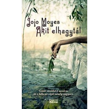 AKIT ELHAGYTÁL (2013)