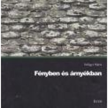 FÉNYBEN ÉS ÁRNYÉKBAN (2013)