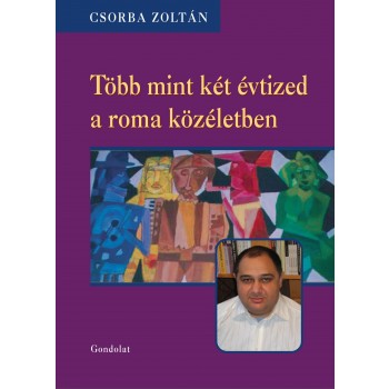 TÖBB MINT HÚSZ ÉV A ROMA KÖZÉLETBEN (2014)