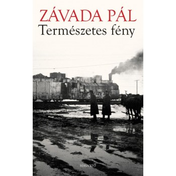 TERMÉSZETES FÉNY - (2014)
