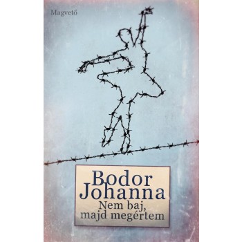 NEM BAJ, MAJD MEGÉRTEM (2014)