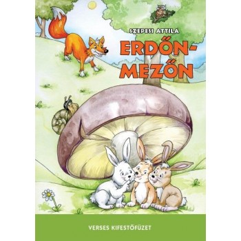 ERDŐN-MEZŐN - VERSES KIFESTŐFÜZET (2014)