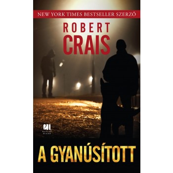 A GYANÚSÍTOTT (2014)