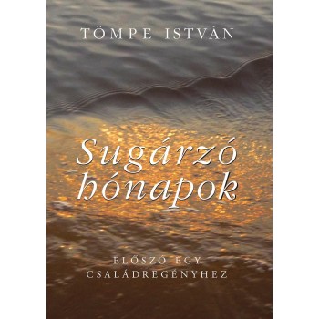 SUGÁRZÓ HÓNAPOK - ELŐSZÓ EGY CSALÁDREGÉNYHEZ (2014)