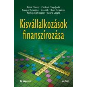 KISVÁLLALKOZÁSOK FINANSZÍROZÁSA - 2. ÁTDOLG. KIAD. (2013)