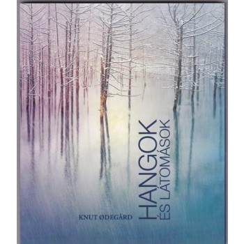 HANGOK ÉS LÁTOMÁSOK (2013)