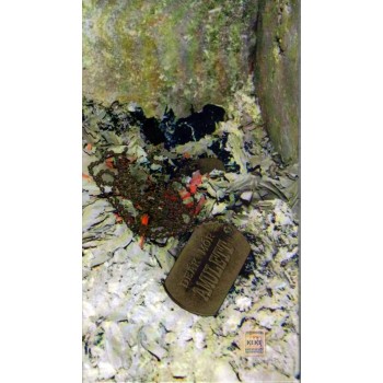 AMULETT (2014)