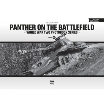 PANTHER ON THE BATTLEFIELD (2014)