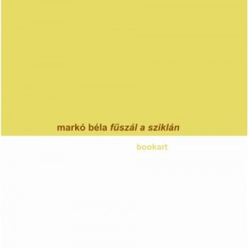 FŰSZÁL A SZIKLÁN (2014)