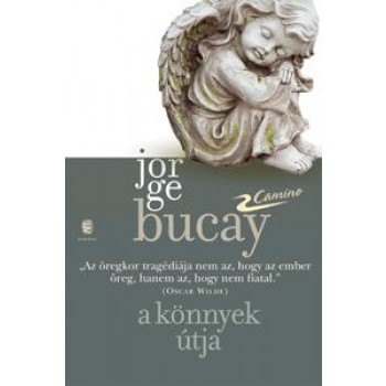 A KÖNNYEK ÚTJA - CAMINO (2014)