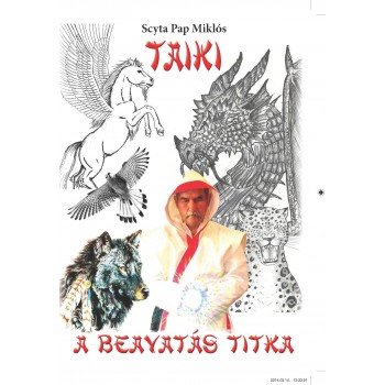 TAIKI A BEAVATÁS TITKA (2014)