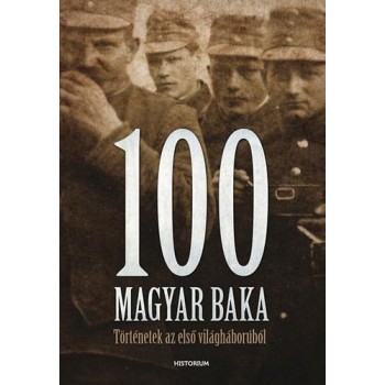 100 MAGYAR BAKA - TÖRTÉNETEK AZ ELSŐ VILÁGHÁBORÚBÓL (2014)