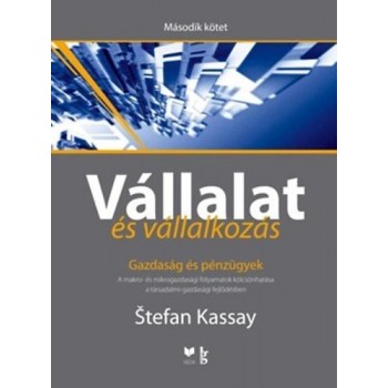 VÁLLALAT ÉS VÁLLALKOZÁS - II. KÖTET - GAZDASÁG ÉS PÉNZÜGYEK (2014)