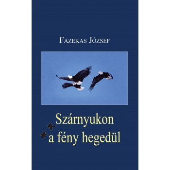 SZÁRNYUKON A FÉNY HEGEDÜL (2014)
