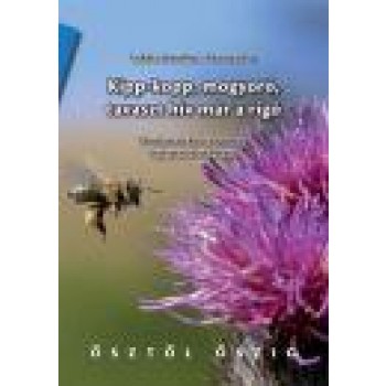KIPP-KOPP, MOGYORÓ, TAVASZT HÍV MÁR A RIGÓ - ÓVODAI JÁTÉKOS CSOPORTOS FEJLESZTÉS (2011)