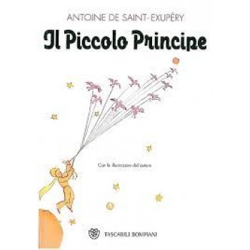 IL PICCOLO PRINCIPE (2002)