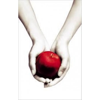 TWILIGHT (2010)