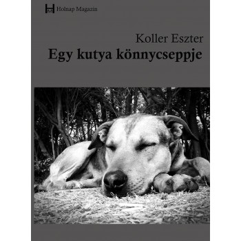 EGY KUTYA KÖNNYCSEPPJE (2014)