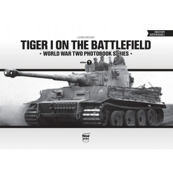 TIGER I ON THE BATTLEFIELD (2014)