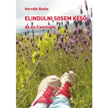 ELINDULNI SOSEM KÉSŐ - AZ ÉN CAMINÓM (2014)