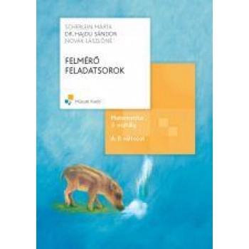 FELMÉRŐ FELADATSOROK - MATEMATIKA 3. OSZT. A,B VÁLTOZAT (2014)