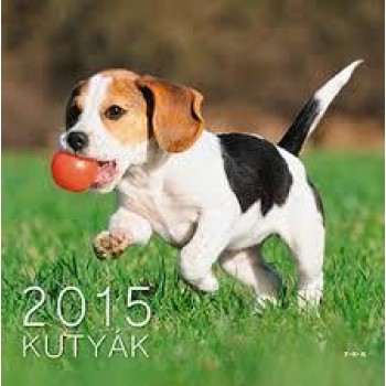 KUTYÁK - NAPTÁR 2015 (2014)