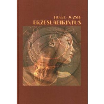 ÉRZÉSLABIRINTUS (2014)