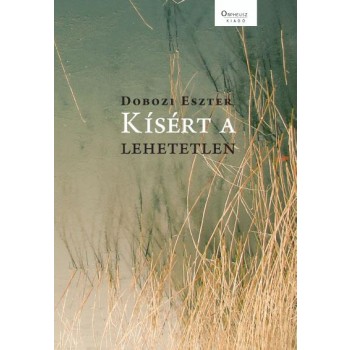 KÍSÉRT A LEHETETLEN (2014)