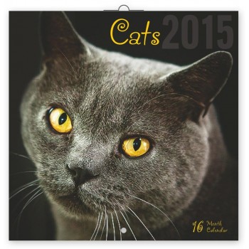 NAPTÁR PG CATS 2015 30*30 (2014)