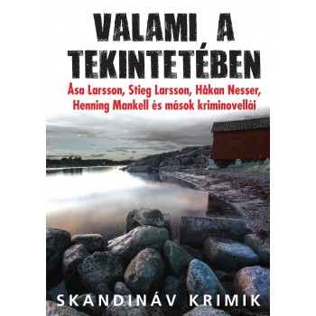 VALAMI A TEKINTETÉBEN - SKANDINÁV KRIMIK (NOVELLÁK) (2014)