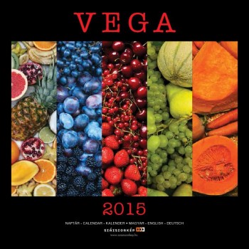 VEGA 2015 - NAPTÁR 22*22 (2014)