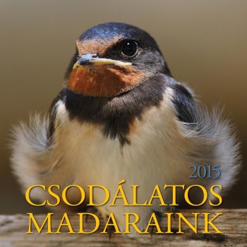 CSODÁLATOS MADARAINK - NAPTÁR 2015. (2014)