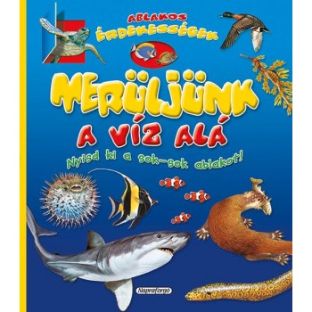MERÜLJÜNK A VÍZ ALÁ! - ABLAKOS ÉRDEKESSÉGEK (2014)