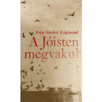 A JÓISTEN MEGVAKUL (2014)