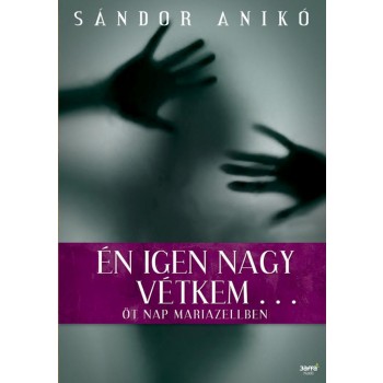 ÉN IGEN NAGY VÉTKEM... (2014)